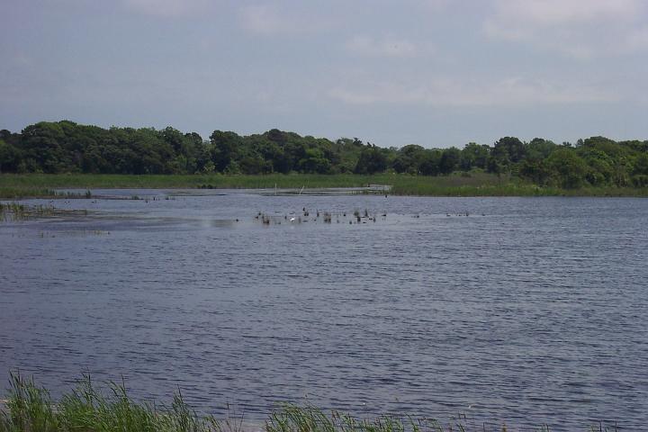 C_M 052.jpg